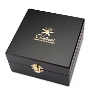 【CITRUS】楓木精油盒 16格《黑色》