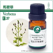 【Herbcare 香草魔法學苑】西班牙馬鞭草純精油