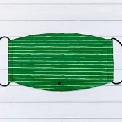 IHERMI 青綠橫紋 個性口罩 台灣製