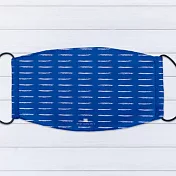 IHERMI 經典一紋 個性口罩 台灣製