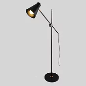 H&R安室家 亞拉落地燈 ZA0076