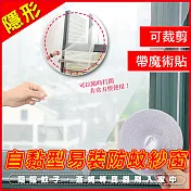 隱形自黏型易裝防蚊紗窗 2入