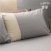 【麗塔寢飾】40支紗精梳棉 美式信封枕套組 心粉彩- 香草