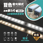 【JP嚴選-捷仕特】感應式LED 雙色磁吸照明燈條_30cm