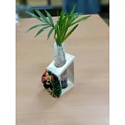 耶誕花圈水晶植栽