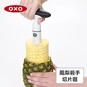 美國OXO 鳳梨殺手切片器 01011012