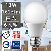 歐洲百年品牌台灣CNS認證LED廣角燈泡E27/13W/1625流明/白光 6入