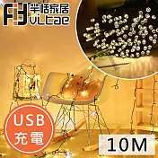 Fit Vitae羋恬家居 USB充電 節慶居家佈置LED燈飾(暖白-10m)
