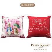 【PETER RABBIT比得兔】抱枕 比得班傑明NF416