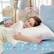 義大利La Belle《抑菌可水洗舒眠羊毛枕》