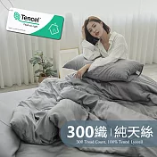 《BUHO》素面文青300織100%TENCEL純天絲™床包枕套二件組-單人《星辰灰》