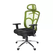 GXG 高背美臀 電腦椅 (摺疊扶手/鋁腳) TW-115 LUA1 請備註顏色