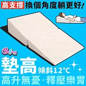 《Embrace英柏絲》特製角度款 樂胃 多功能 墊高枕 天絲 抗菌 火燒心 溢赤酸 臺灣製 獨家專利 高升無憂枕