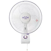 雙星牌 12吋單拉掛壁扇 TS-1236