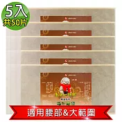 【南美藥廠】金門ㄧ條根超大加長尺寸精油貼布(量販包)35X15cm-5入(共50片)