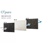 Opure 臻淨 A1負離子空氣清淨機三層濾網組 A1-B+A1-C+A1-D