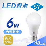 40入【SY 聲億】6W LED高效能廣角燈泡 -黃光