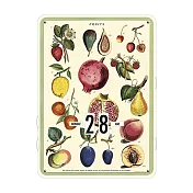 美國 Cavallini & Co. 萬年曆 水果