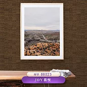 台製 Joy 53X1000cm 壁紙1卷(4色選） 88023