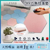 2袋任選超值組【生活良品】簡約DIY蜂窩拼貼多用途六角珪藻土吸水墊*2 甜心粉*2