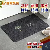 G+居家 2片組絲絨刮沙泥除塵地墊-幸運樹40x60cm 深灰
