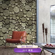 台製 Joy 53X1000cm 壁紙3卷(2色選）88029 -