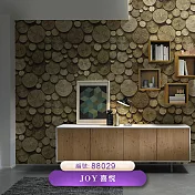 台製 Joy 53X1000cm 壁紙3卷(2色選）88029