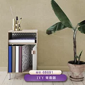 台製 IVY常春藤 環保無毒 防燃耐熱 53X1000cm 壁紙3卷(4色選） 68691