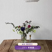 台製 IVY常春藤 環保無毒 防燃耐熱 53X1000cm 壁紙3卷(6色選） 68822