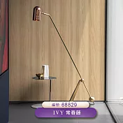 台製 IVY常春藤 環保無毒 防燃耐熱 53X1000cm 壁紙3卷(6色選） 68829