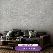 台製 IVY常春藤 環保無毒 防燃耐熱 53X1000cm 壁紙1卷(3色選） 68838