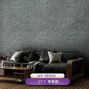 台製 IVY常春藤 環保無毒 防燃耐熱 53X1000cm 壁紙1卷(3色選） 68840