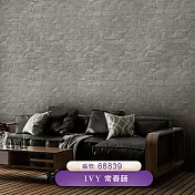 台製 IVY常春藤 環保無毒 防燃耐熱 53X1000cm 壁紙3卷(3色選） 68839