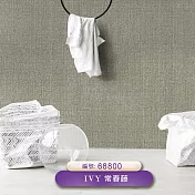 台製 IVY常春藤 環保無毒 防燃耐熱 53X1000cm 壁紙1卷(5色選） 68800