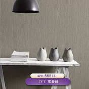 台製 IVY常春藤 環保無毒 防燃耐熱 53X1000cm 壁紙1卷(5色選） 68814