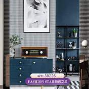 台製 時尚之星 Fashion Star 環保無毒 防燃耐熱 53X1000cm 壁紙3卷(5色選） 39226