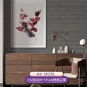 台製 時尚之星 Fashion Star 環保無毒 防燃耐熱 53X1000cm 壁紙3卷(5色選） 39230