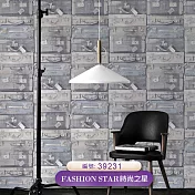 台製 時尚之星 Fashion Star 環保無毒 防燃耐熱 53X1000cm 壁紙1卷(5色選) 39231