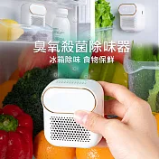 冰箱除臭器 臭氧抑菌除味淨化器 食物保鮮 (USB電源) 白色