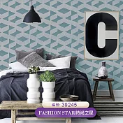 台製 時尚之星 Fashion Star 環保無毒 防燃耐熱 53X1000cm 壁紙1卷(5色選) 39245