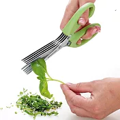 《TESCOMA》Presto五層香料剪刀(20cm) | 食物剪 多層剪刀