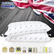 【Dunlopillo】英國百年品牌鄧祿普–乳膠枕(一入)