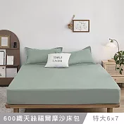 澳洲Simple Living 特大天絲福爾摩沙床包枕套組-台灣製(月眸綠)
