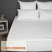 【麗塔寢飾】雙人加大(6X6.2) 床包式 防水透氣保潔墊