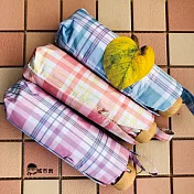 城市雨CTRain 五折口袋晴雨傘 I春日格紋 藍紫