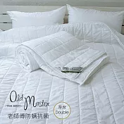 【麗塔寢飾】單人 厚度Double- 分離式春夏薄被胎 (防蹣抗菌可水洗)