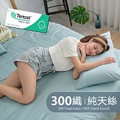 《BUHO》素面文青300織100%TENCEL純天絲™床包枕套三件組-雙人特大《湖水綠》