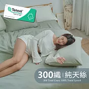 《BUHO》素面文青300織100%TENCEL純天絲™床包枕套二件組-單人《莫蘭迪綠》