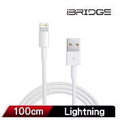 iBRIDGE 蘋果 Lightning副廠線TPE 1M 白