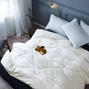 澳洲Simple Living 法國純羊毛抑菌可水洗冬被-雙人